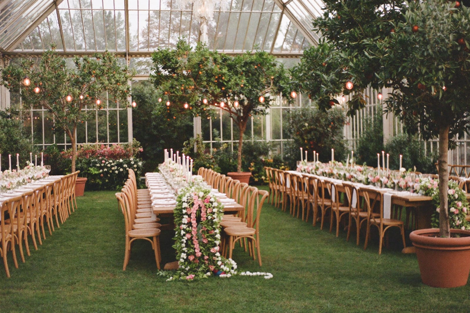 De serre van Orangerie De Hoven, gedekt voor het diner: lange houten tafels, kaarslicht en veel groen